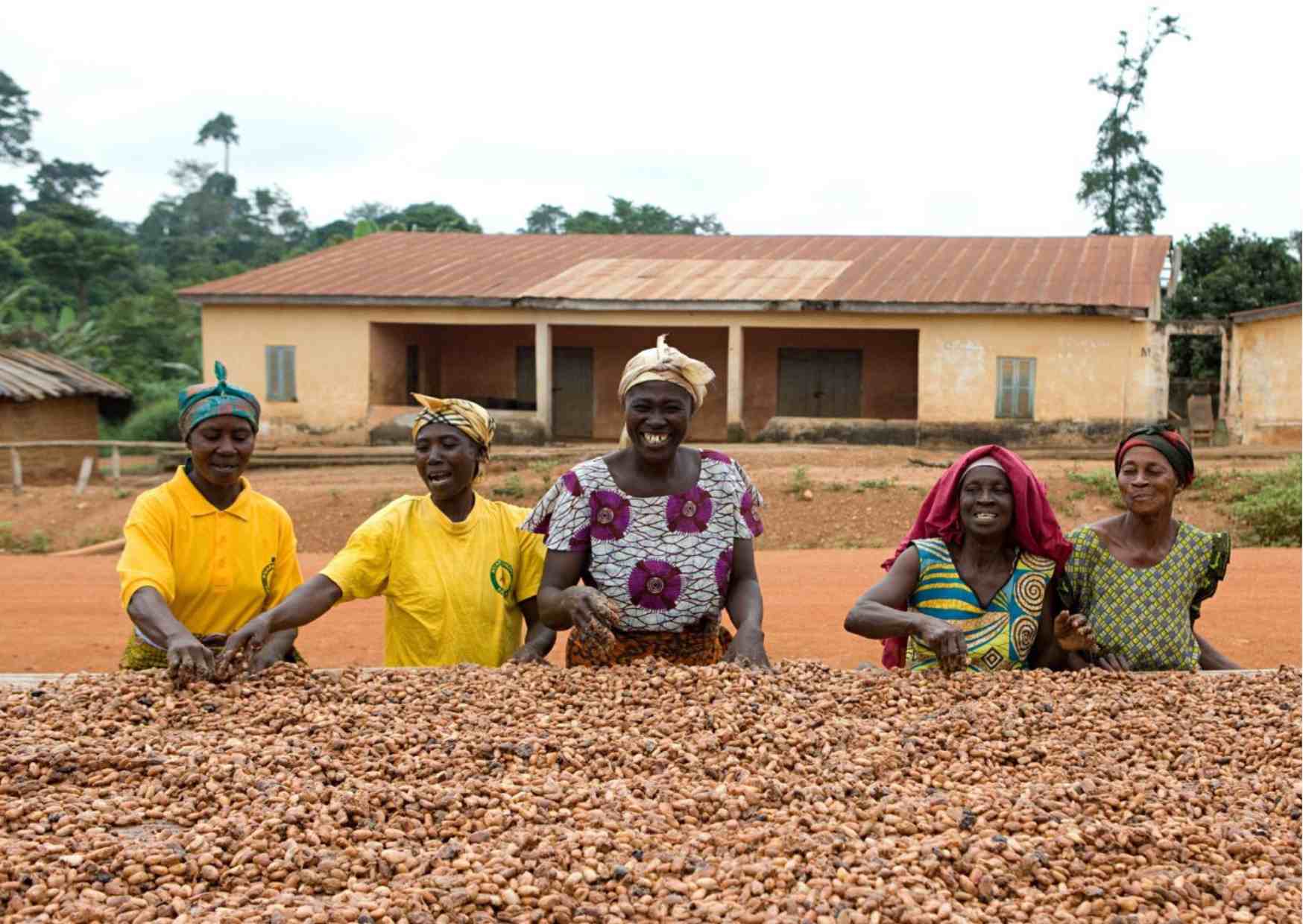 kuapa-kokoo-ghana