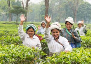 Tea Promoters India