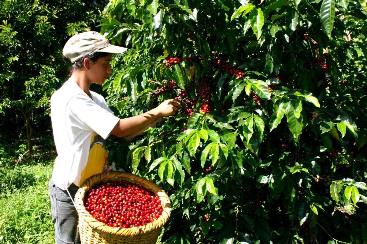 Jornada de puertas abiertas con productores de Costa Rica