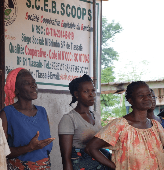sceb-cooperativa-costa-marfil SCEB Cooperative Equitable du Bandama