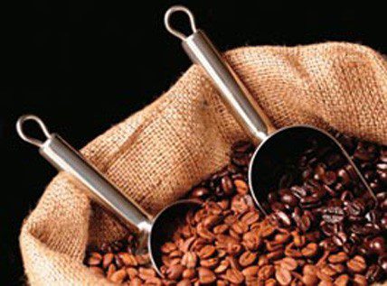Cata de café