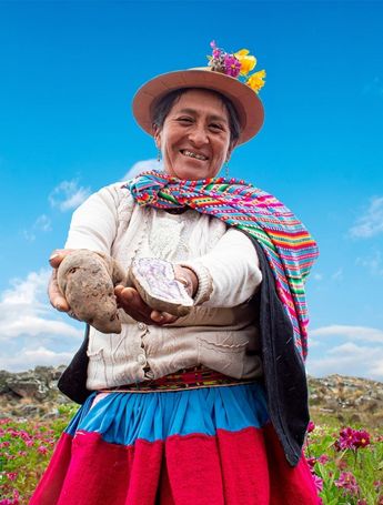 Agricultora peruana que cultiva variedades de patatas nativas en la organización de Comercio Justo Agropia