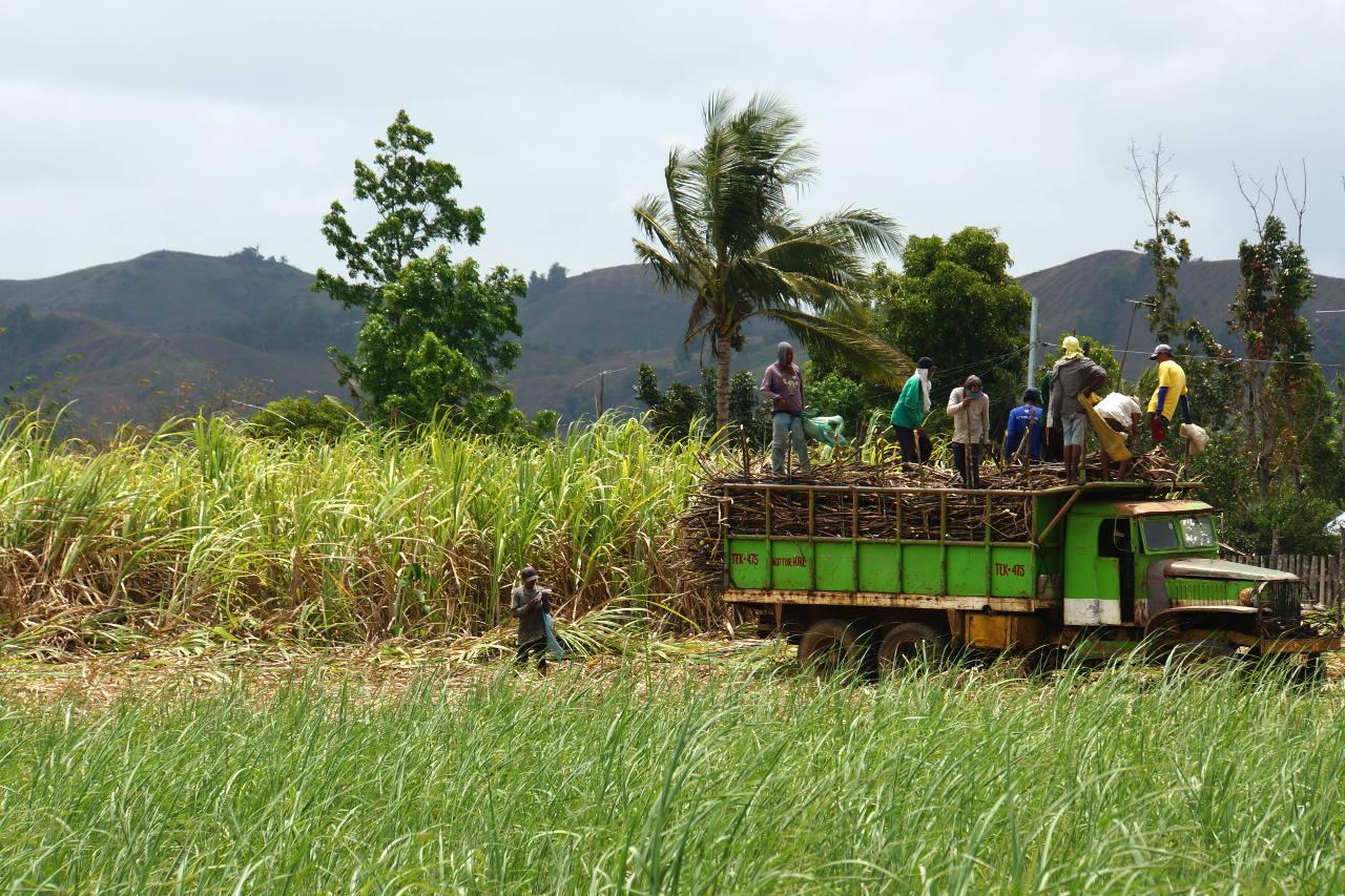 Panay Fair Trade Centre